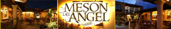 Meson del angel banner