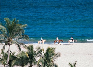 Cabo Tours