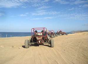 Cabo Tours