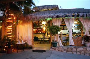 apostolis restaurant san jose del cabo