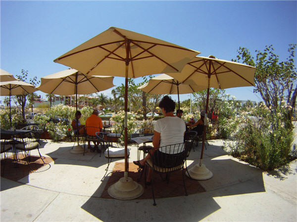 organic restaurant in cabo