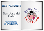 burritos chostomo logo