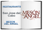 meson del angel logo