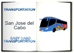 Cape-Travel logo